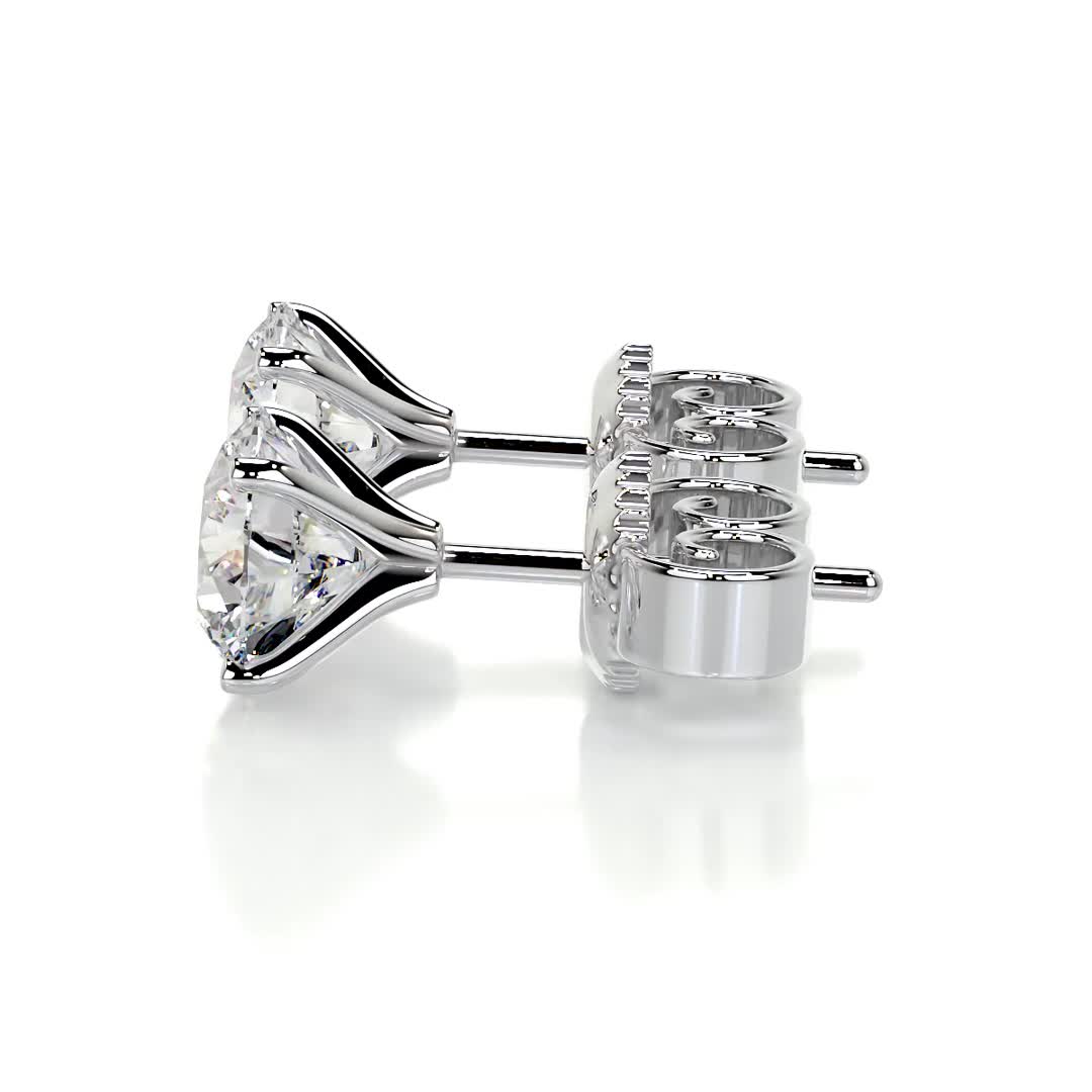 2 TCW Round Moissanite Stud Earrings