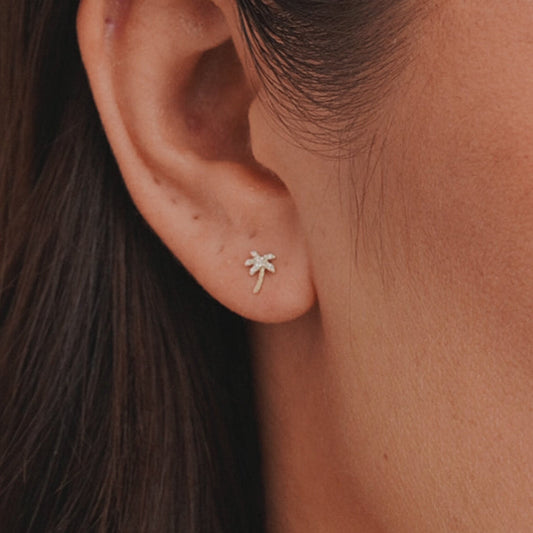 0.082 TCW Round Moissanite Palm Stud Earrings