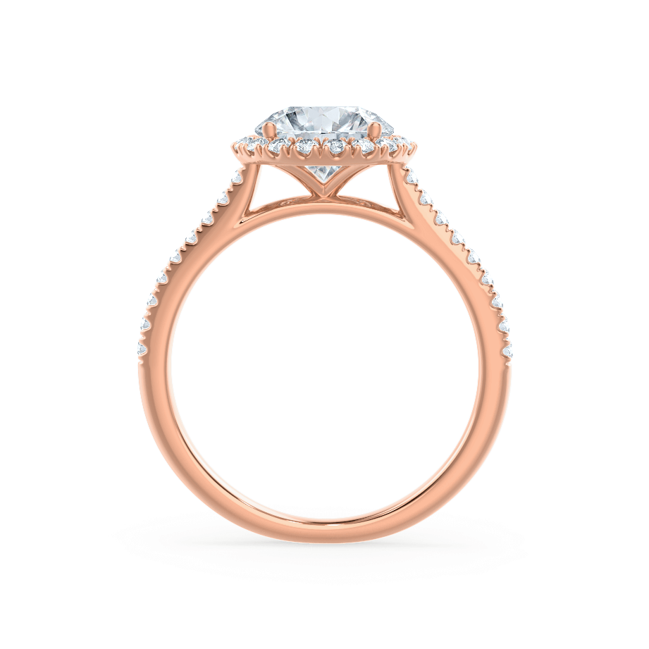 1 CT Round Halo & Pave Moissanite Engagement Ring
