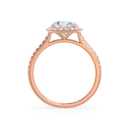 1 CT Round Halo & Pave Moissanite Engagement Ring