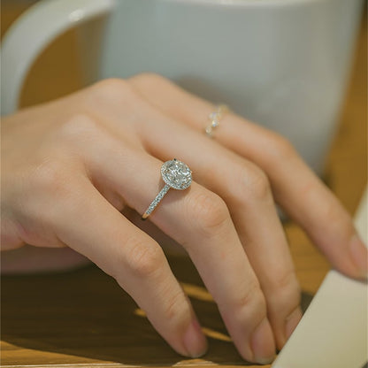 4 CT Round Halo & Pave Moissanite Engagement Ring