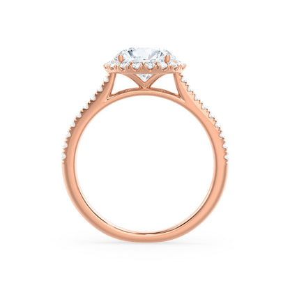 1 CT Round Halo & Pave Moissanite Engagement Ring