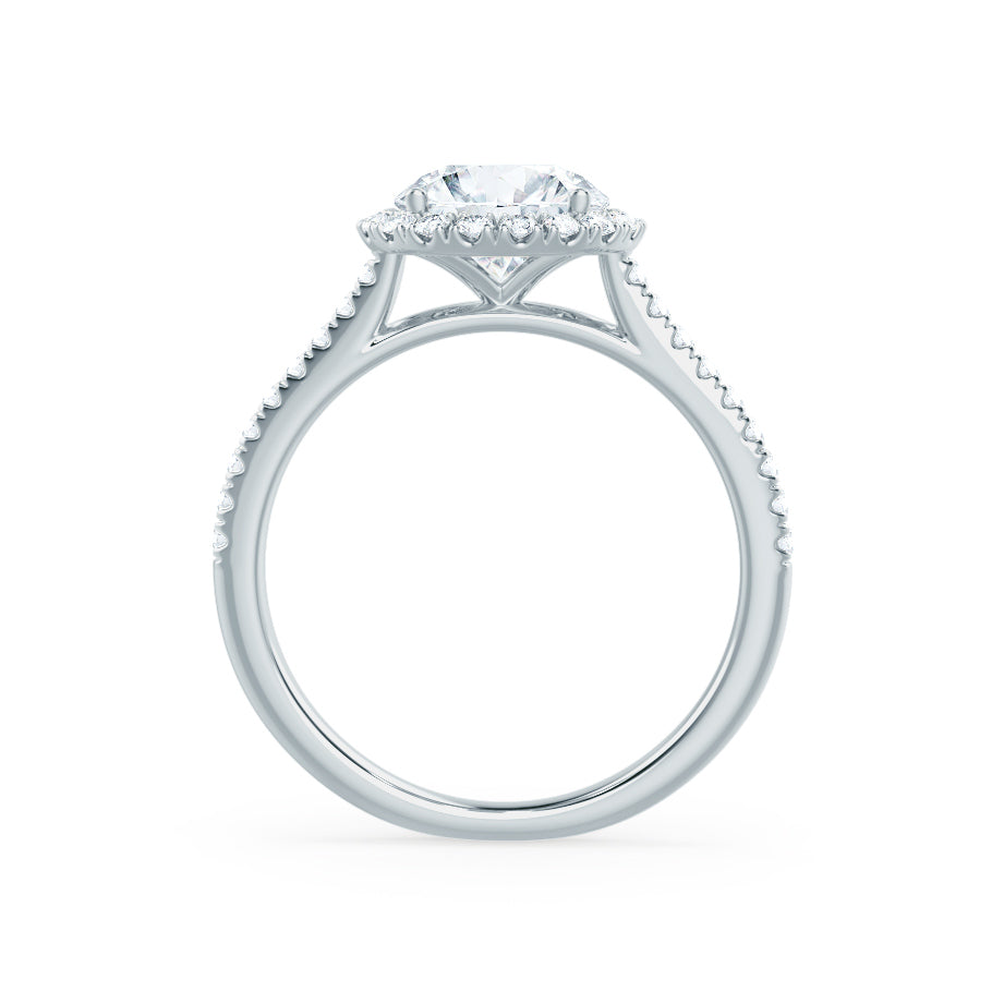 1 CT Round Halo & Pave Moissanite Engagement Ring